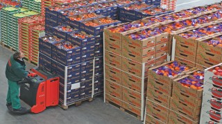 Para que su trabajo dé frutos Especial Campaña Hortofrutícola