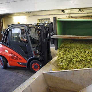El alquiler de carretillas, clave en el sector de los alimentos perecederos El alquiler de carretillas, clave en el sector de los alimentos perecederos
