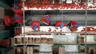 El sector hortofrutícola de Almería ha sido testigo de una notable evolución en sus procesos logísticos gracias a la colaboración entre Vicasol, Carelsa —concesinario focial de Linde en las provincias de Albacete, Alicante, Almería y Murcia — y Linde Material Handling. El sector hortofrutícola de Almería ha sido testigo de una notable evolución en sus procesos logísticos gracias a la colaboración entre Vicasol, Carelsa —concesinario focial de Linde en las provincias de Albacete, Alicante, Almería y Murcia — y Linde Material Handling.